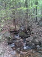 post-11774-0-29401400-1369943610_thumb.j