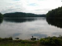 post-11774-0-38532000-1369944019_thumb.j