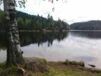 post-11774-0-53184900-1369943501_thumb.j