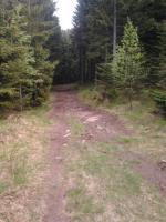 post-11774-0-65281700-1369943589_thumb.j