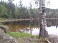 post-11774-0-82554100-1369943490_thumb.j