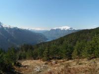 post-12082-0-26786200-1368996588_thumb.j