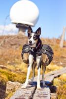 post-12575-0-60495500-1368177186_thumb.j