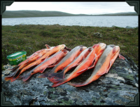 post-4016-0-72142600-1367466700_thumb.pn