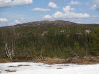 post-4444-0-10267800-1368904502_thumb.jp