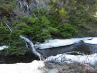 post-4444-0-47228800-1368904390_thumb.jp