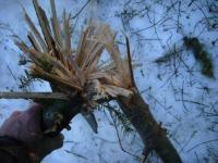 post-6187-0-04964000-1367584543_thumb.jp