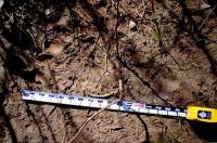 post-6187-0-34176800-1367584617_thumb.jp