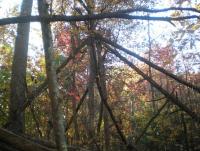 post-6187-0-34403200-1367584557_thumb.jp