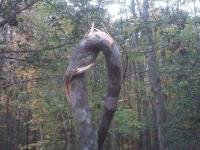 post-6187-0-70035400-1367584530_thumb.jp