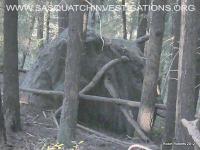 post-6187-0-89242900-1367584572_thumb.jp