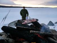 post-7709-0-79362100-1368469107_thumb.jp