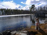 post-7709-0-83561100-1368469098_thumb.jp