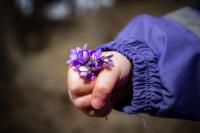 post-7957-0-51986100-1367430726_thumb.jp