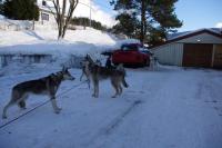 post-8614-0-01408000-1369665448_thumb.jp