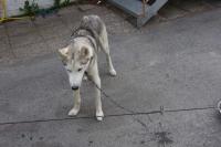 post-8614-0-23582300-1369665377_thumb.jp