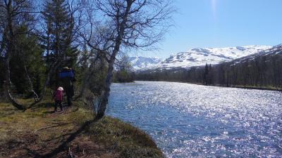 post-10401-0-52146700-1401460414_thumb.j