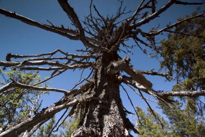 post-12278-0-02339400-1401177268_thumb.j