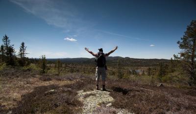 post-12278-0-03123400-1401177172_thumb.j