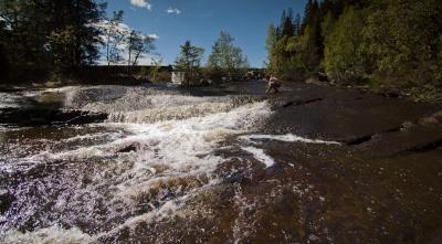 post-12278-0-08466100-1401177356_thumb.j