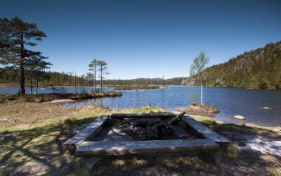 post-12278-0-84654000-1401177119_thumb.j