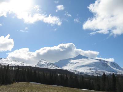 post-12337-0-02029100-1399220895_thumb.j