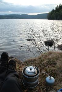 post-12580-0-06962400-1400535655_thumb.j