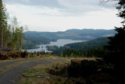 post-12580-0-15264500-1400535679_thumb.j