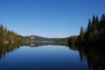 post-12580-0-46665900-1400535682_thumb.j