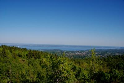 post-12580-0-60433500-1401460489_thumb.j