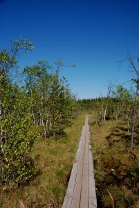 post-12580-0-71159800-1401460483_thumb.j