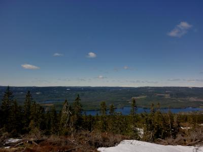 post-12580-0-78736800-1398977095_thumb.j