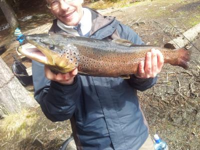 post-12978-0-94610800-1399184977_thumb.j