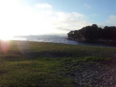 post-13618-0-04293000-1400099647_thumb.j