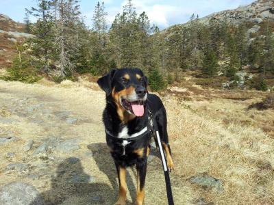 post-14585-0-24432700-1399242607_thumb.j