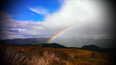 post-14717-0-32120700-1401393538_thumb.j