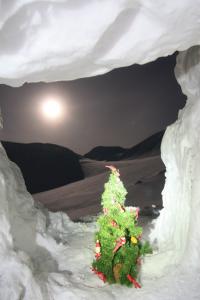 post-2058-0-52045200-1399756662_thumb.jp