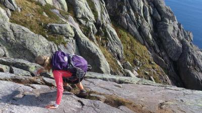 post-2292-0-09860000-1401238461_thumb.jp