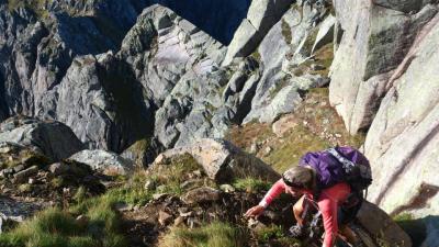 post-2292-0-55605800-1401238462_thumb.jp