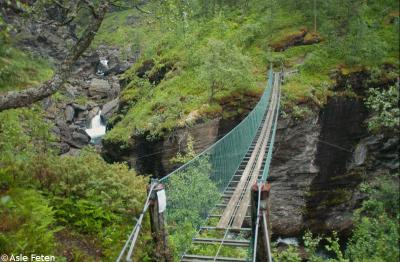 post-2690-0-21203200-1401092381_thumb.jp