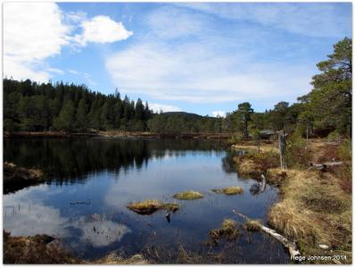 post-4444-0-07226300-1399821364_thumb.jp