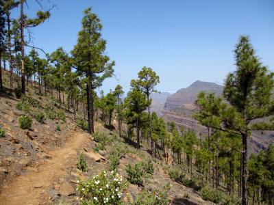 post-4444-0-11157800-1399644118_thumb.jp