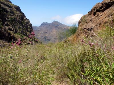 post-4444-0-28512000-1399473968_thumb.jp