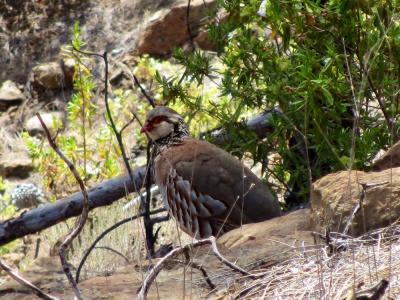 post-4444-0-51398100-1399644215_thumb.jp