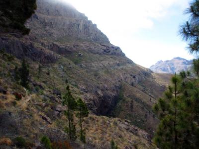 post-4444-0-55986800-1399473996_thumb.jp