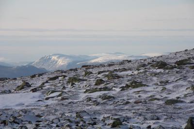 post-4639-0-67126700-1399934606_thumb.jp