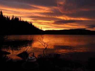 post-5141-0-12308900-1400847307_thumb.jp