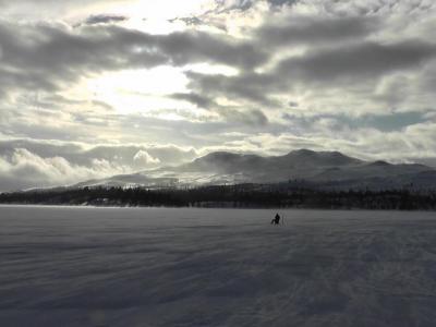 post-6295-0-12590800-1401394929_thumb.jp