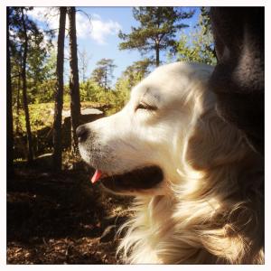 post-6532-0-39579900-1398977501_thumb.jp