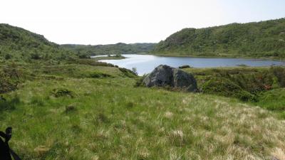 post-8648-0-27282000-1401131121_thumb.jp